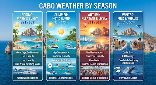 Cabo Weather by Season